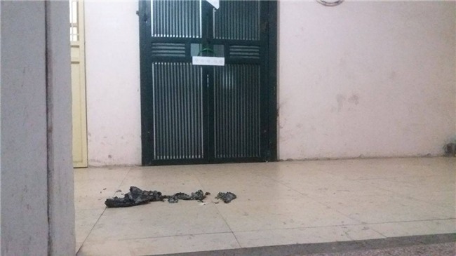 Lời khai của ca sỹ Châu Việt Cường: Bị ảo giác ma nhập nên bóc tỏi cho vào miệng, nữ sinh tử vong vì nghẹn - Ảnh 1.