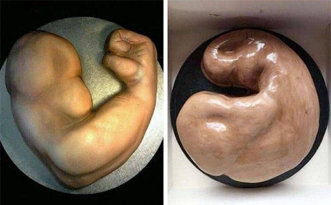 18 chiec banh chung minh khi tai nang co han ma cu thich xong pha vao bep hinh anh 5