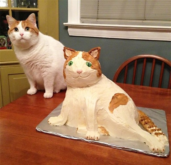 18 chiec banh chung minh khi tai nang co han ma cu thich xong pha vao bep hinh anh 7