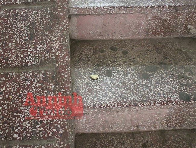 Cận cảnh hiện trường vụ án cô gái tử vong do bị ca sĩ Châu Việt Cường nhét tỏi vào miệng - Ảnh 2.