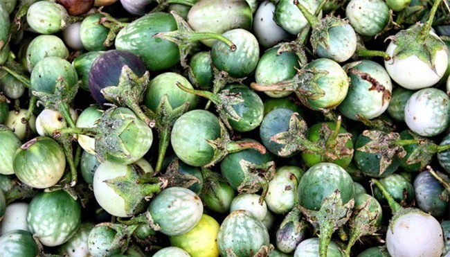 4 loại rau củ đắng ơi là đắng nhưng chế biến thành món ăn thì ngon miễn chê - Ảnh 10.