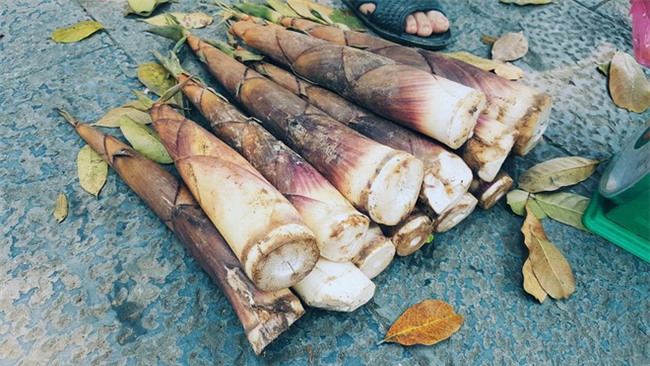 4 loại rau củ đắng ơi là đắng nhưng chế biến thành món ăn thì ngon miễn chê - Ảnh 5.