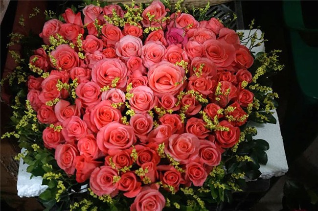 Quốc tế phụ nữ,hoa hồng,vườn hồng