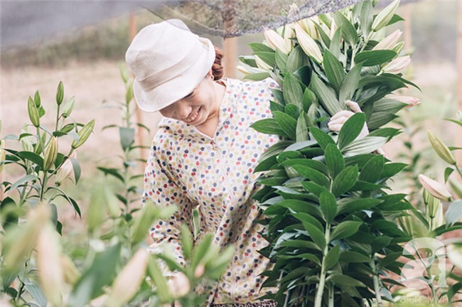 8/3 hoa ly làng Tây Tựu vẫn mất giá, người dân bình thản bảo nhau: Không sao đâu, mùa sau sẽ phất!