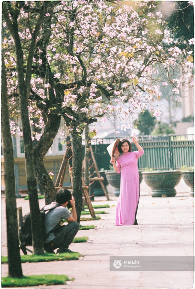 Chùm ảnh: Đây là Hà Nội, của những ngày trắng muốt hoa sưa... - Ảnh 13.