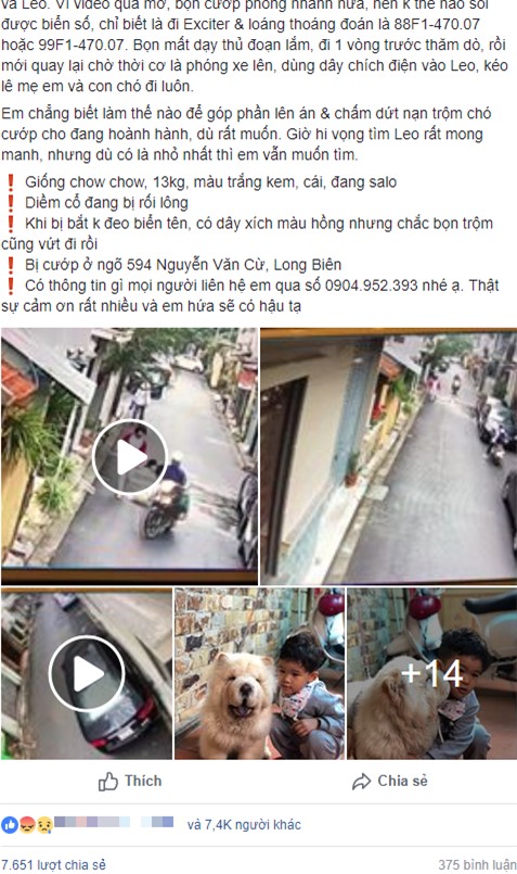 Clip: Phẫn nộ cảnh trộm chó táo tợn, kéo lê người phụ nữ ngã lăn ra đường ngay giữa phố Hà Nội - Ảnh 1.