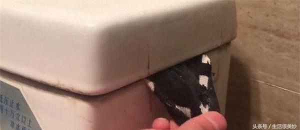 chong phuc "sat dat" khi biet ly do vo nhet xa bong vao chiec tat roi cho vao bon cau - 6