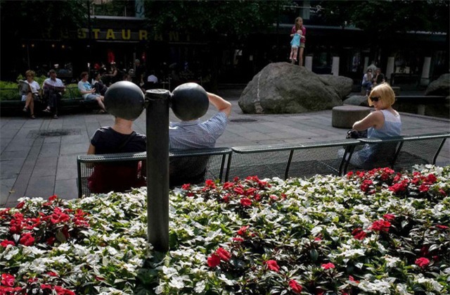 Ống tưới nước trùng hợp một cách kỳ lạ với khung cảnh.