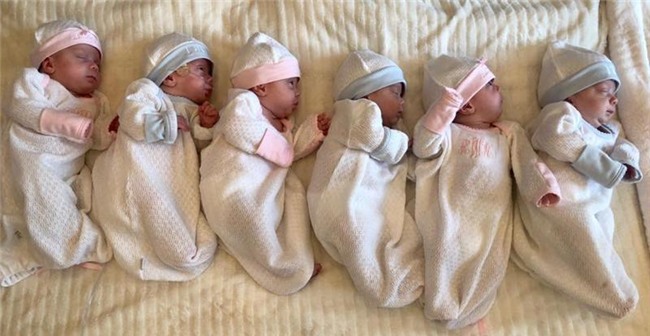 6 thiên thần bao gồm 3 trai và 3 gái chào đời vào tháng 12 vừa qua. 