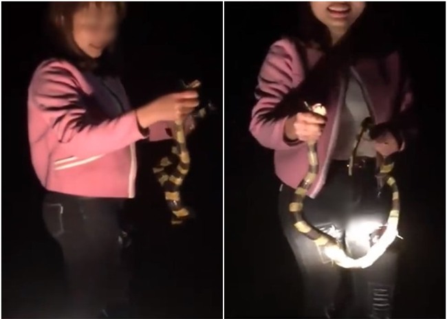 Clip: Cô gái thản nhiên dùng tay không bắt rắn cạp nong cực độc ngay giữa đường khiến nhiều người thót tim sợ hãi