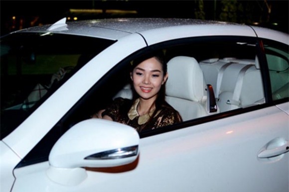 hoi ban gai doc than xinh dep, giau co va dang cap cua hoang thuy linh hinh anh 13