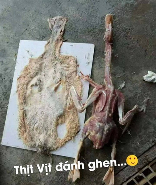 Xưa chọn vợ phải đảm, nay chỉ cần biết úp mì tôm là tốt lắm rồi!