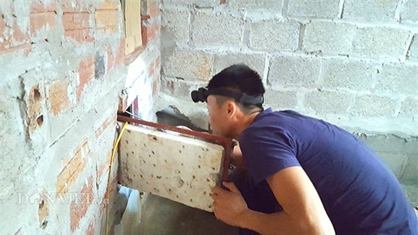 mãng xà,nuôi rắn,rắn hổ mang