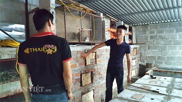 mãng xà,nuôi rắn,rắn hổ mang