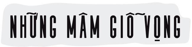 Hoa dang gui toi Gac Ma va ngon lua trong long nguoi o lai hinh anh 8