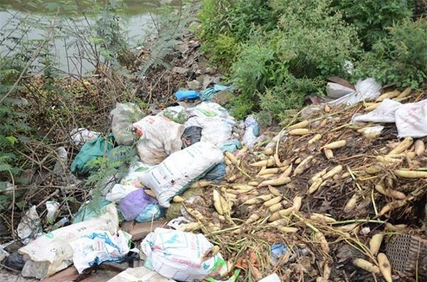 nông sản rớt giá