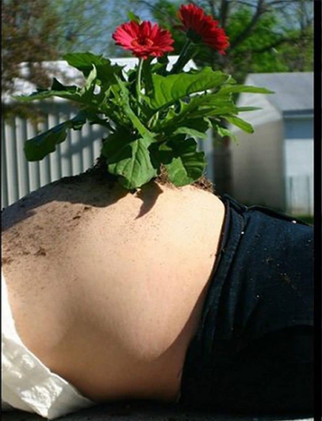 chup anh song ao cuc "ngau" nhu cac ba bau hinh anh 8