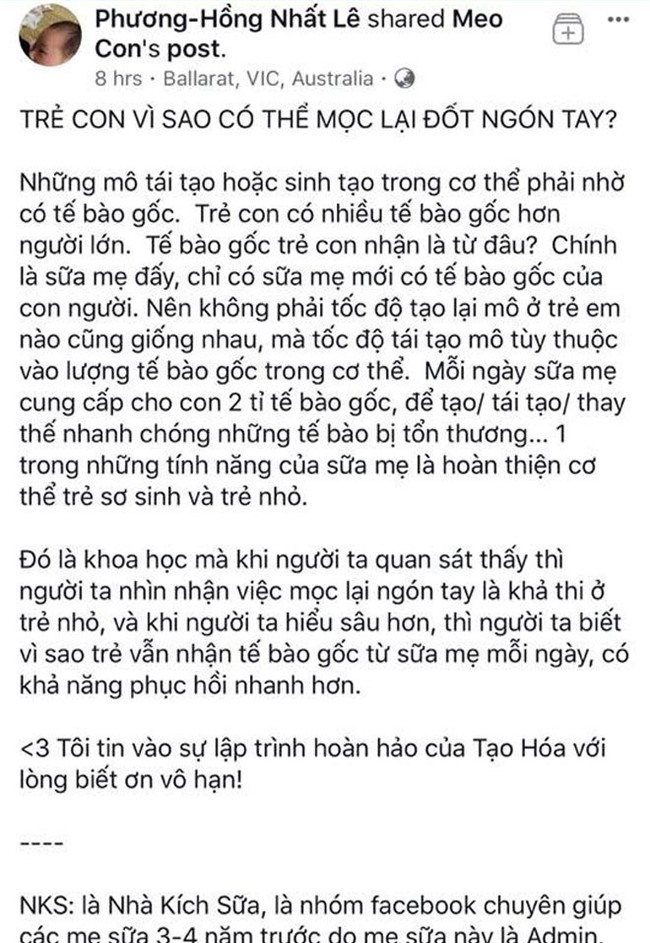 nguoi dua trao luu sinh con thuan tu nhien o viet nam le nhat phuong hong la ai? - 3