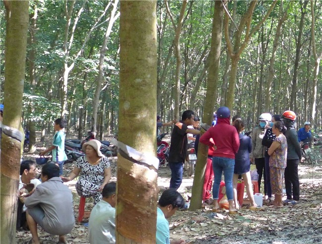 Bắt giữ nghi can hiếp dâm bé gái 4 tuổi, ném xác xuống giếng trong rừng cao su ở Bình Phước - Ảnh 2.