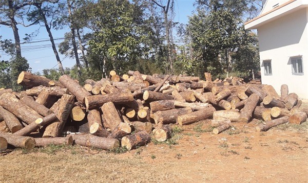 nhận hối lộ,chủ tịch xã nhận hối lộ,bắt giam,rừng cộng đồng,Nguyễn Văn Minh,Đắk Nông