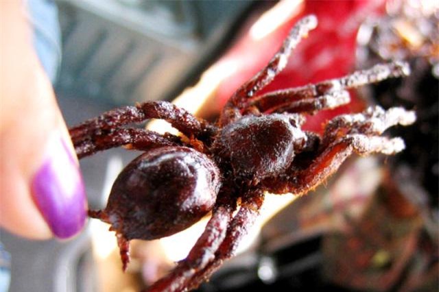 top 10 mon kinh di tren the gioi khong phai ai cung du dung cam de an - 10