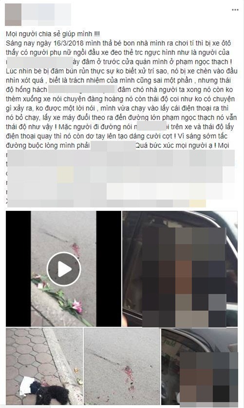 Tố người lái ô tô đâm chết mất chó cưng, chàng trai nhận loạt bình luận không ngờ