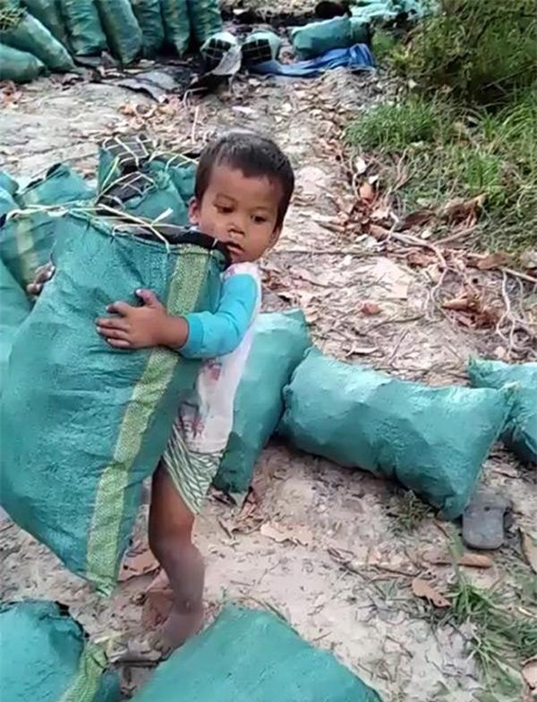 cau be chua day 5 tuoi lao dong nang nhoc phu giup gia dinh khien hang trieu nguoi bat khoc - 1