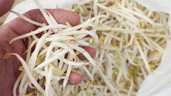 Mẹ Hà Nội mách cách làm giá đỗ cực nhàn cho người lười chỉ bằng chiếc túi lưới bọc quả