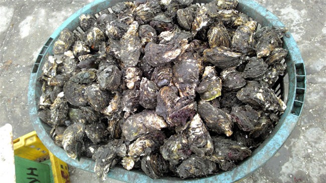 Lên chợ online tố cáo người bán đưa 2 kg hàu, sau khi rửa sạch còn 1,6 kg, chị nội trợ tưởng được bênh ai ngờ ăn mắng - Ảnh 1.