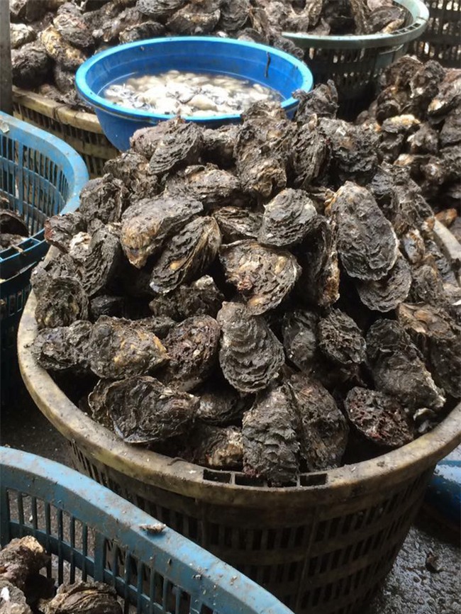 Lên chợ online tố cáo người bán đưa 2 kg hàu, sau khi rửa sạch còn 1,6 kg, chị nội trợ tưởng được bênh ai ngờ ăn mắng - Ảnh 10.