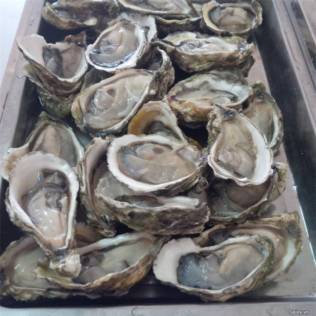 Lên chợ online tố cáo người bán đưa 2 kg hàu, sau khi rửa sạch còn 1,6 kg, chị nội trợ tưởng được bênh ai ngờ ăn mắng - Ảnh 5.