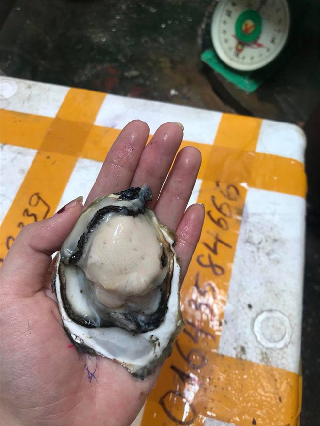 Lên chợ online tố cáo người bán đưa 2 kg hàu, sau khi rửa sạch còn 1,6 kg, chị nội trợ tưởng được bênh ai ngờ ăn mắng - Ảnh 9.
