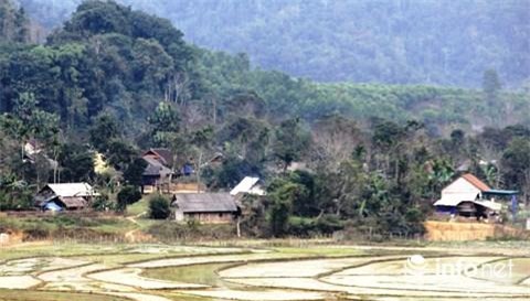 mot thai phu tu vong sau khi pha thai bang que - 1