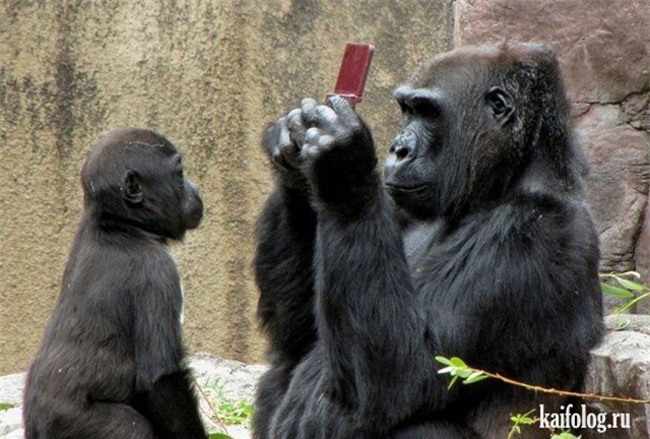 co nhung khoanh khac de khien nguoi ta "chet sac" hinh anh 3