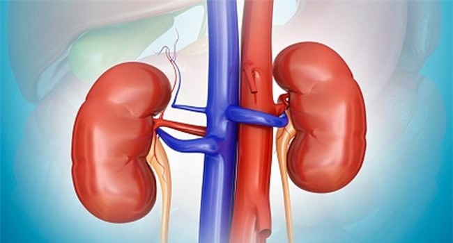 tac dụng phụ của “con dao hai luõi” kháng sinh mà nhièu nguòi khong the ngò hinh anh 6