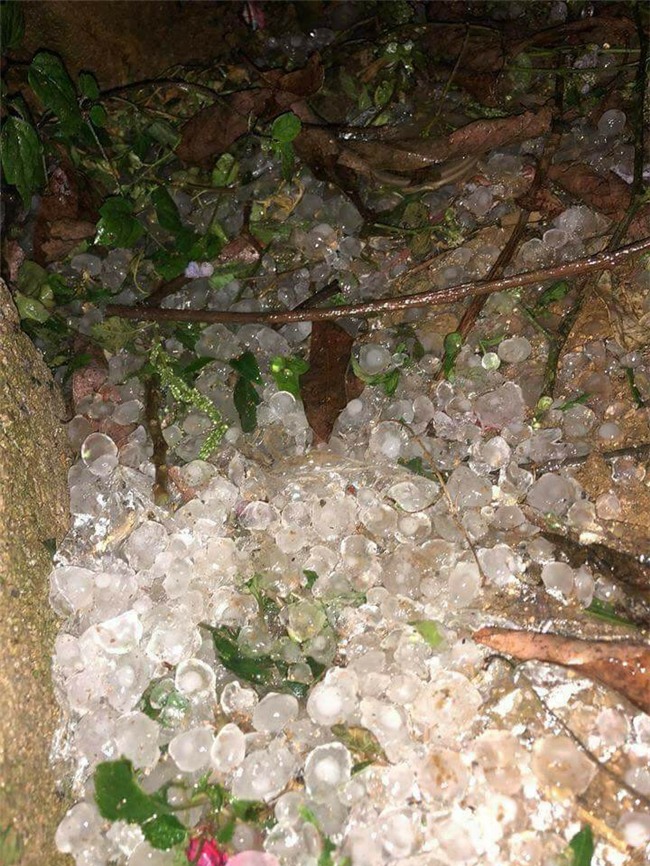 mưa đá,Mộc Châu,Sơn La