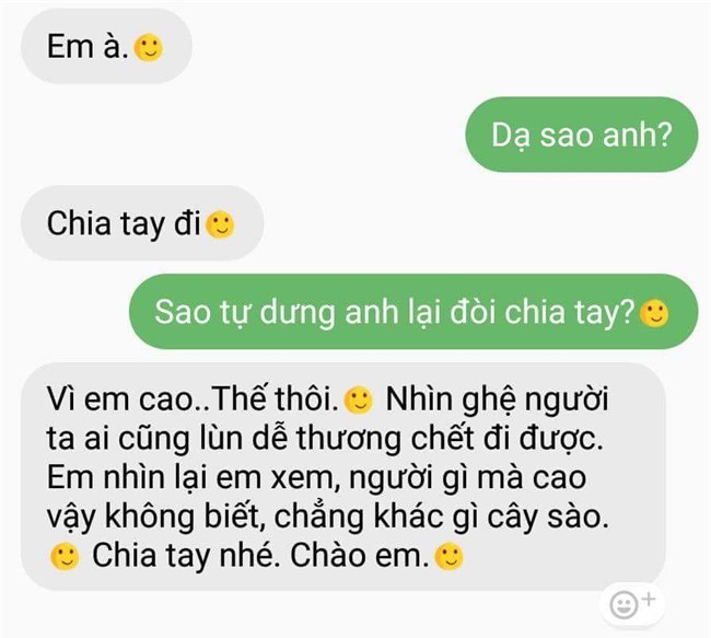 nhung ly do chia tay troi oi dat hoi khien cu dan mang cuoi ra nuoc mat - 3