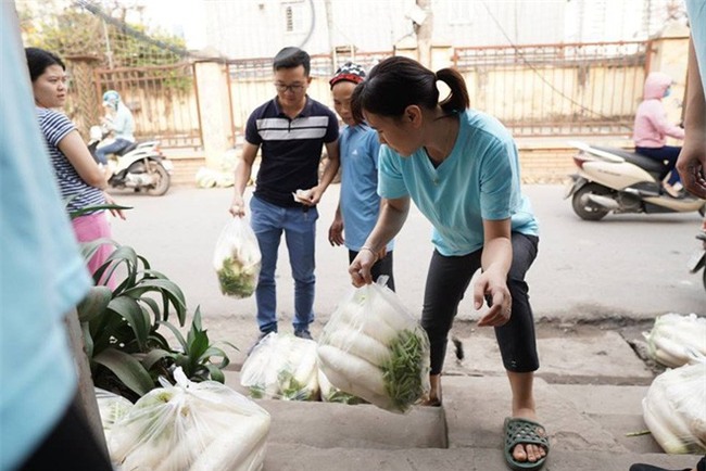 Hàng trăm người dân Hà Nội háo hức giải cứu củ cải trắng cho nông dân Tráng Việt - Ảnh 10.