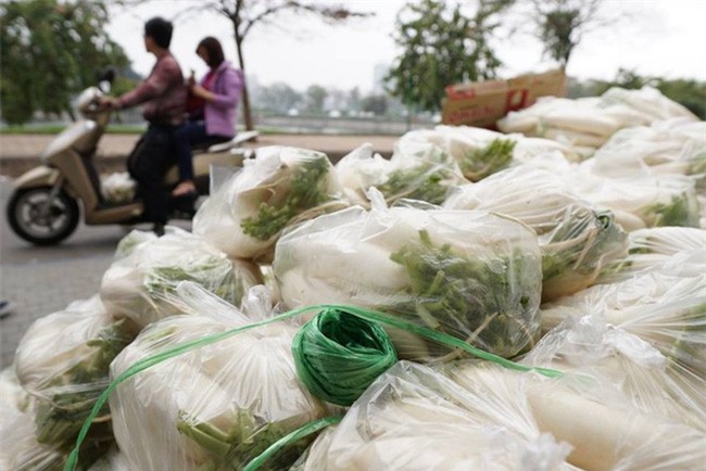Hàng trăm người dân Hà Nội háo hức giải cứu củ cải trắng cho nông dân Tráng Việt - Ảnh 4.