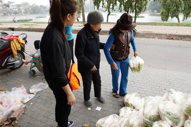 Hàng trăm người dân Hà Nội háo hức giải cứu củ cải trắng cho nông dân Tráng Việt - Ảnh 6.