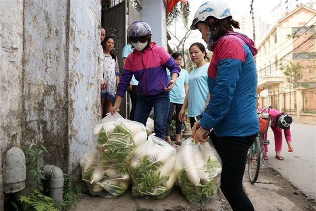 Hàng trăm người dân Hà Nội háo hức giải cứu củ cải trắng cho nông dân Tráng Việt - Ảnh 17.