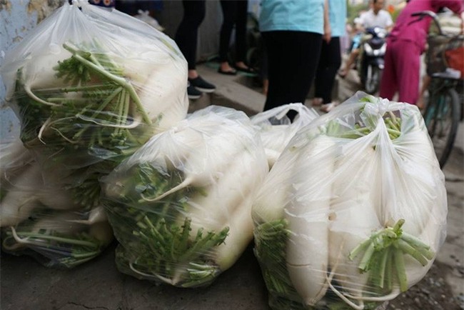 Hàng trăm người dân Hà Nội háo hức giải cứu củ cải trắng cho nông dân Tráng Việt - Ảnh 18.