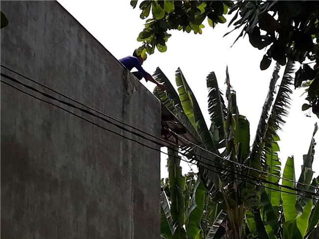 TP.HCM: Nam thanh niên nghi ngáo đá leo lên nhà dân cố thủ nhiều giờ, cầm gạch chống trả công an - Ảnh 1.