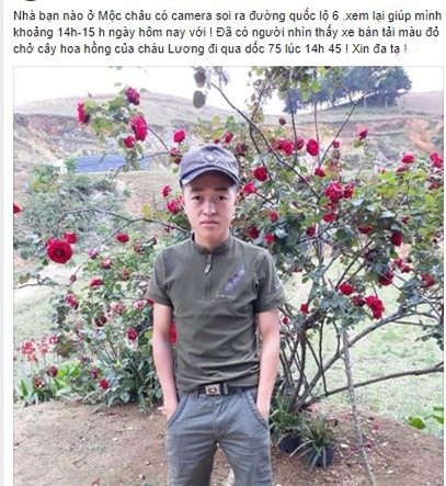 Bị chửi rủa là kẻ cắp cây hoa hồng cổ 10 năm chỉ vì đăng ảnh lên trang cá nhân, chàng trai lên tiếng kêu oan - Ảnh 1.