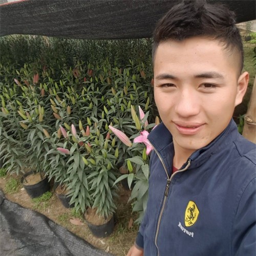 Bị chửi rủa là kẻ cắp cây hoa hồng cổ 10 năm chỉ vì đăng ảnh lên trang cá nhân, chàng trai lên tiếng kêu oan - Ảnh 5.