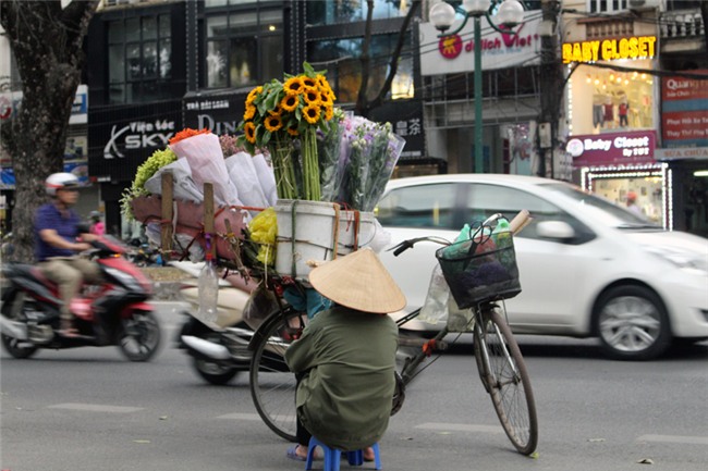 mưu sinh,nghề kiếm sống,bán hoa,lập nghiệp
