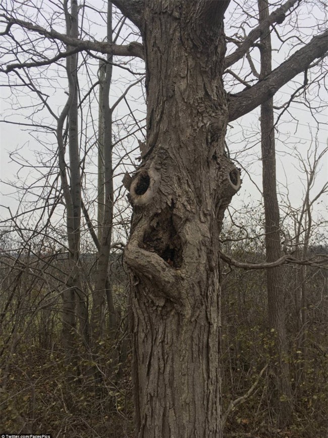 khi nhung vat quanh ta dot nhien trong giong mat nguoi den ky la hinh anh 5