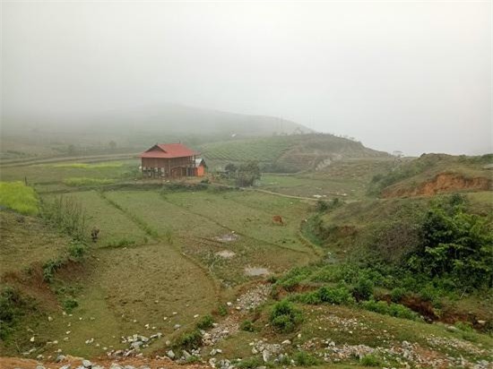loi ke dau nhoi long cua chang trai dan toc thai bi trom cay hong co 20 nam tuoi - 1