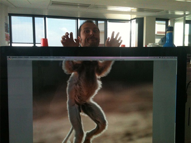 khi dan van phong "ranh roi sinh nong noi" hinh anh 10