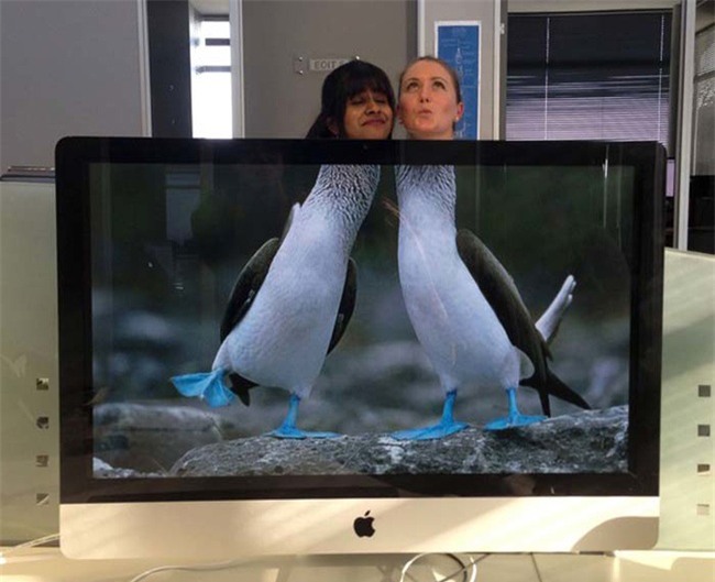 khi dan van phong "ranh roi sinh nong noi" hinh anh 11